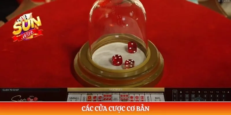 Các cửa cược cơ bản