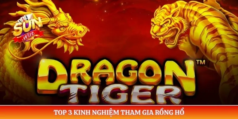 Top 3 kinh nghiệm tham gia Rồng hổ